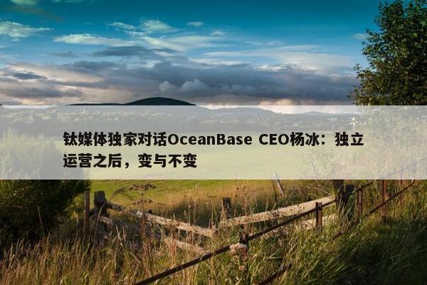 钛媒体独家对话OceanBase CEO杨冰：独立运营之后，变与不变